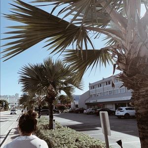 Meet your Posher, Ellie